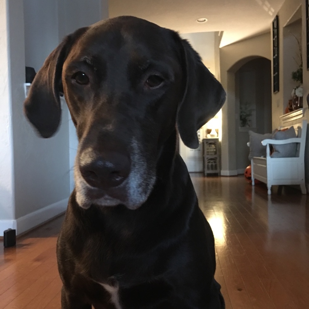 Meet your Posher, Madi